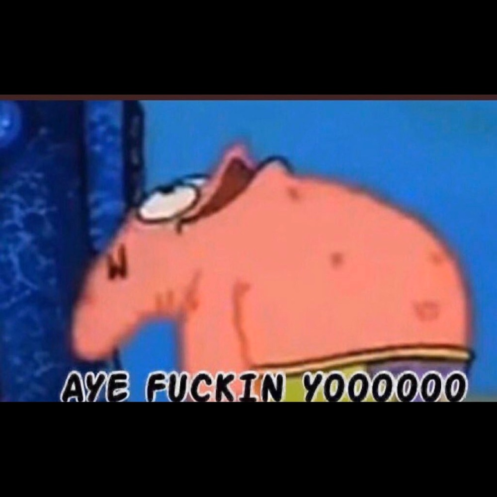 Meet your Posher, Splash